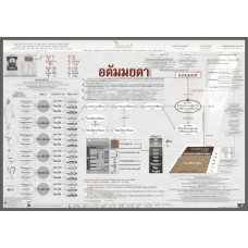 ผังอตัมมยตา